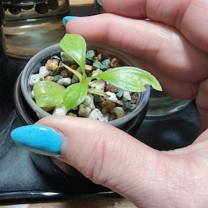 Robyn added a photo of their purchase