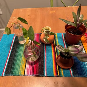 Katherine added a photo of their purchase