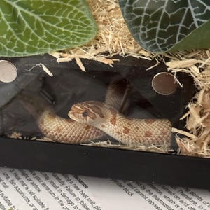 Valerie added a photo of their purchase