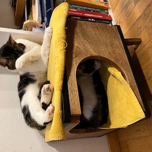 Florence added a photo of their purchase