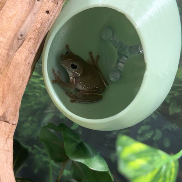 Stroodies EGG Hide for Frogs and Lizards and Such | Suction Cup or ...