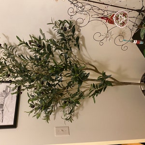 Sharon added a photo of their purchase