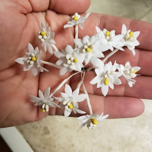 Sara hat ein Foto des gekauften Artikels hinzugefügt