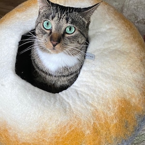 Helen added a photo of their purchase