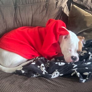 Sara added a photo of their purchase