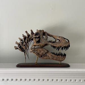 Réplique Crâne T-Rex XXL Sur Support Métal - Décoration Dinosaure Realiste 30x25 Cm - Fossile Décoratif
