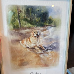 Nicky added a photo of their purchase