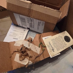 Etsy buyer added a photo of their purchase