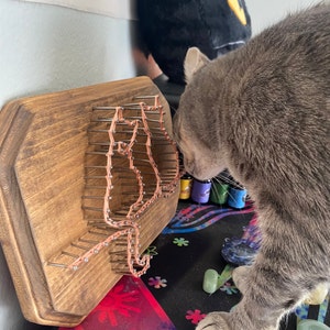 cali heeft een foto van zijn/haar aankoop toegevoegd