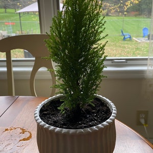 Nancy added a photo of their purchase