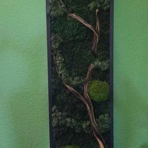 R added a photo of their purchase
