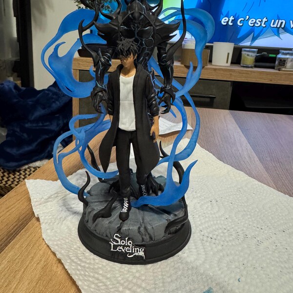 Figurine Sung Jin-woo 20 Cm – Manga Solo Leveling