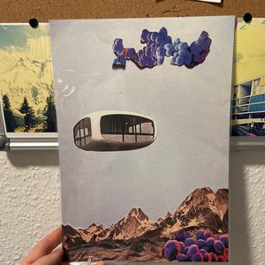 Martin added a photo of their purchase