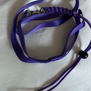 Mary added a photo of their purchase