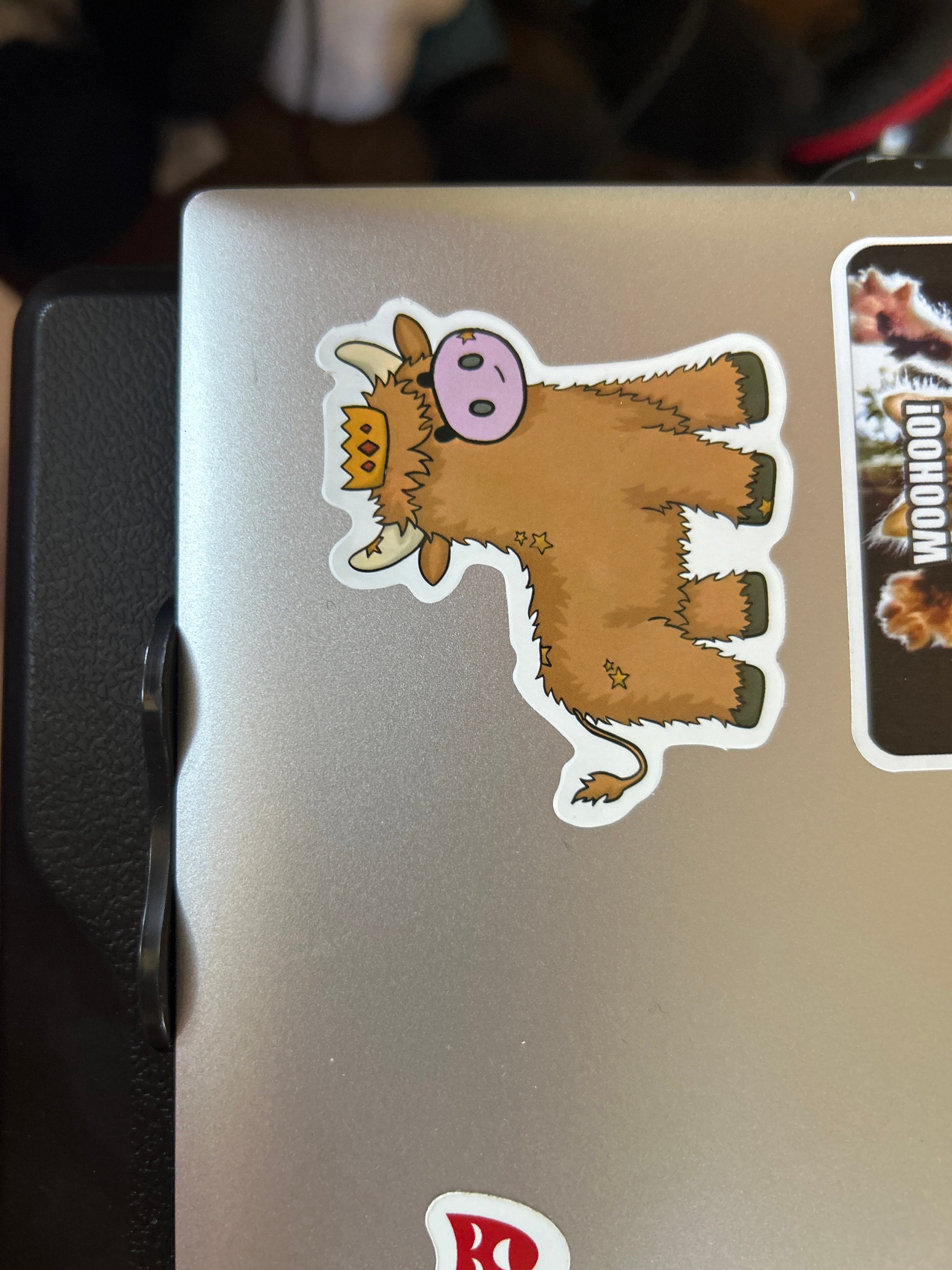 5-50 Pack Highland Cow Stickers for Laptops, Skateboards, Phones, Rewards, Water Bottles, Bikes, Luggage, Travel