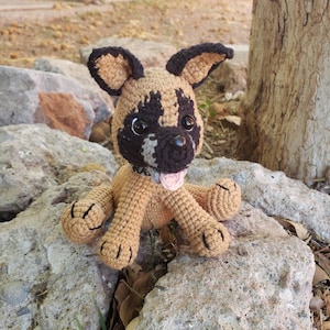 Maria added a photo of their purchase