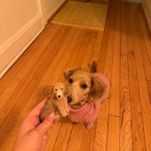 Josie added a photo of their purchase
