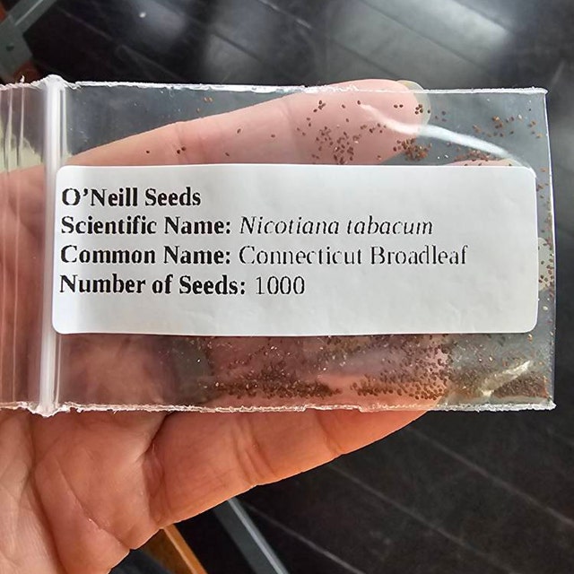 1000 Connecticut Broadleaf Tobacco Seeds ~ Heirloom Non-gmo Nicotiana  Tabacum