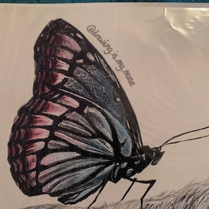 Helen added a photo of their purchase