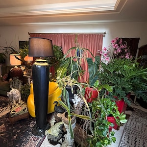 Veronica added a photo of their purchase