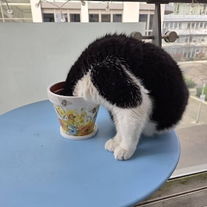 Mary ha añadido una foto de su compra