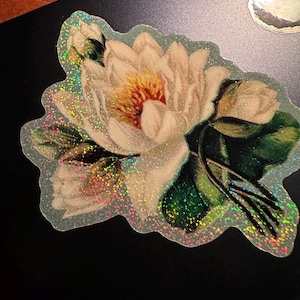 lichenraven added a photo of their purchase
