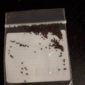 Xynand ha añadido una foto de su compra