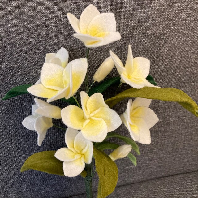 Felt Plumeria Flower Twig Video Tutorial. PDF SVG Pattern - Etsy