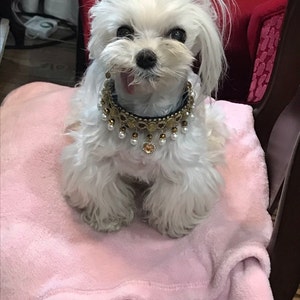 Pam added a photo of their purchase