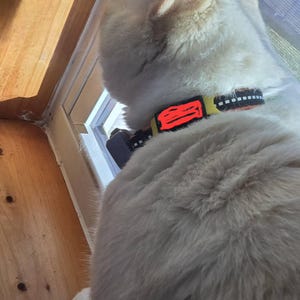 carol added a photo of their purchase