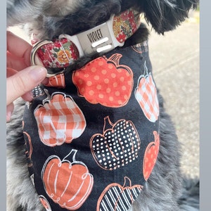 Maggie added a photo of their purchase