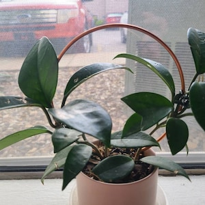 Mehri added a photo of their purchase