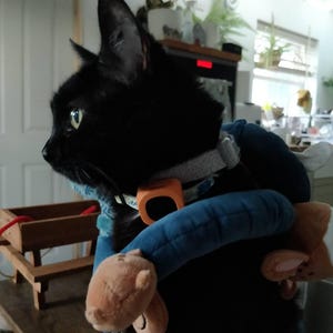 Mike hat ein Foto des gekauften Artikels hinzugefügt