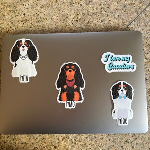 Vanessa added a photo of their purchase