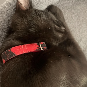 Jojojo added a photo of their purchase