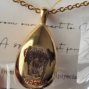 C added a photo of their purchase
