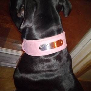 Karen added a photo of their purchase