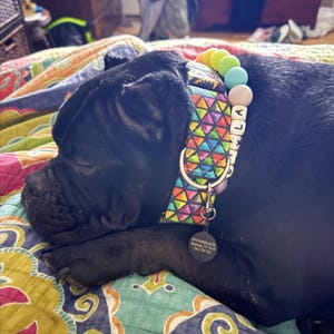Mary added a photo of their purchase