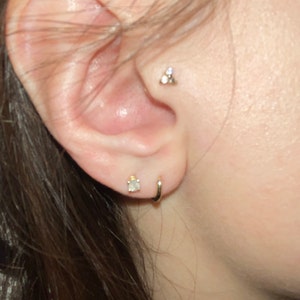 Alexandra added a photo of their purchase