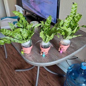 Billie added a photo of their purchase