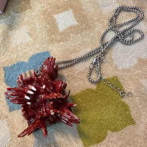 Erika added a photo of their purchase