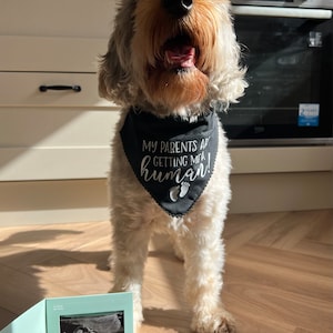 Sara added a photo of their purchase