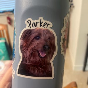 Nicole added a photo of their purchase