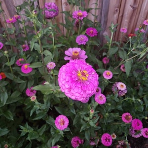 Martha added a photo of their purchase