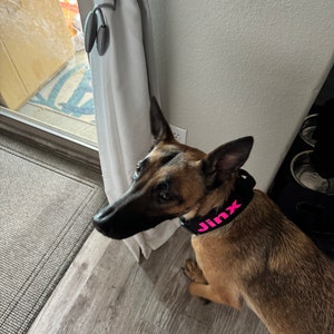ares added a photo of their purchase
