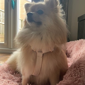 Hailey hat ein Foto des gekauften Artikels hinzugefügt