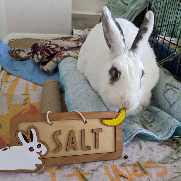 Mix & Match Bunny Stud Earrings one Pair, Rabbit Studs, Cute Enamel ...