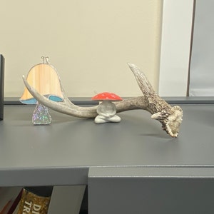 sean added a photo of their purchase