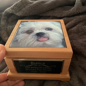 Jamie ha añadido una foto de su compra