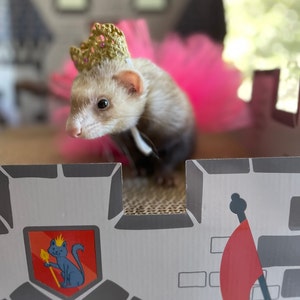 Abigail added a photo of their purchase